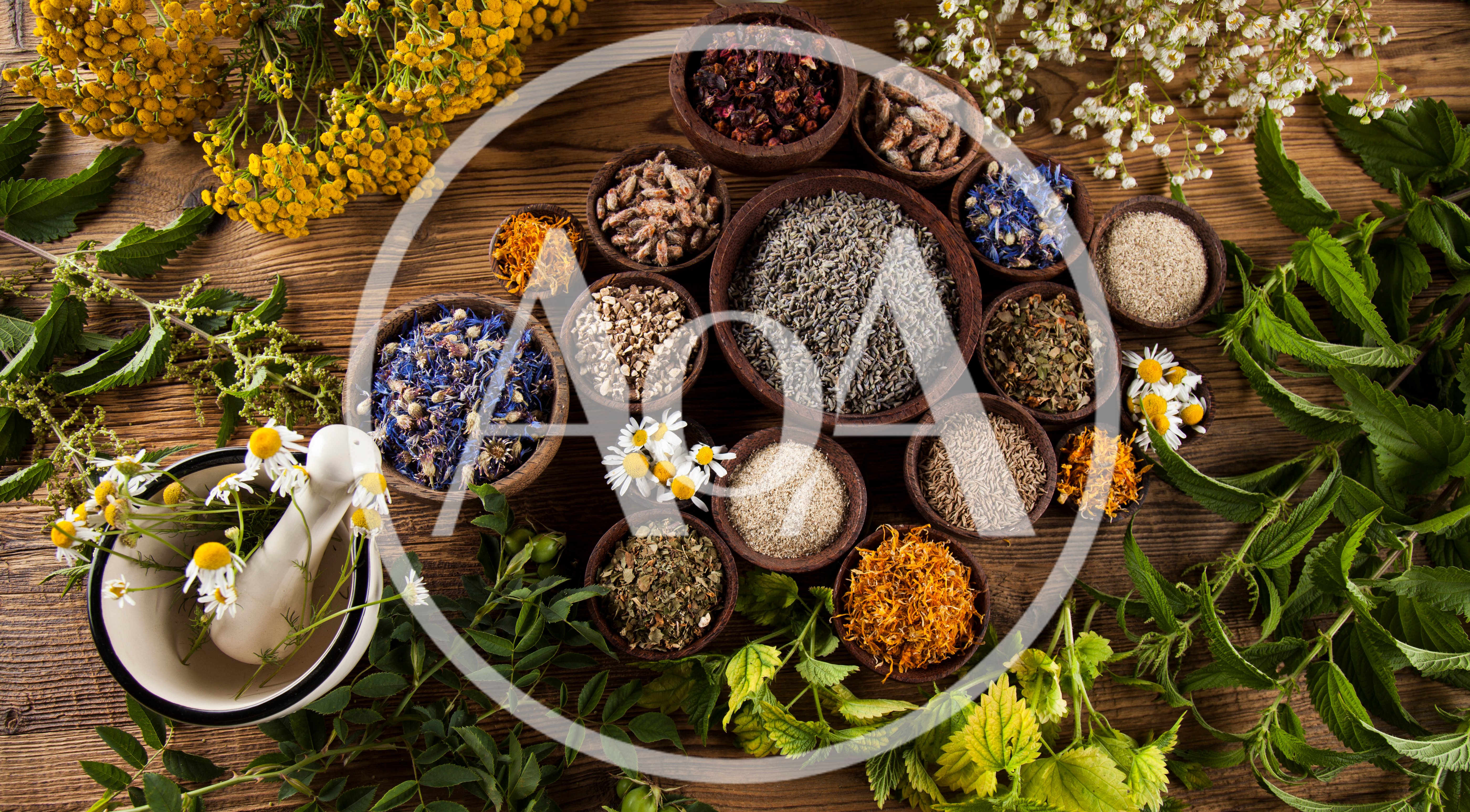Assorted Dried Herbs and Flowers for Natural Medicine