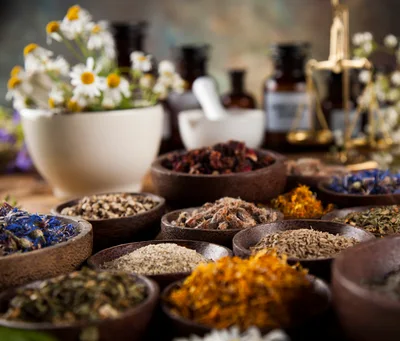 Herbal Medicine Ingredients In Wooden Bowls