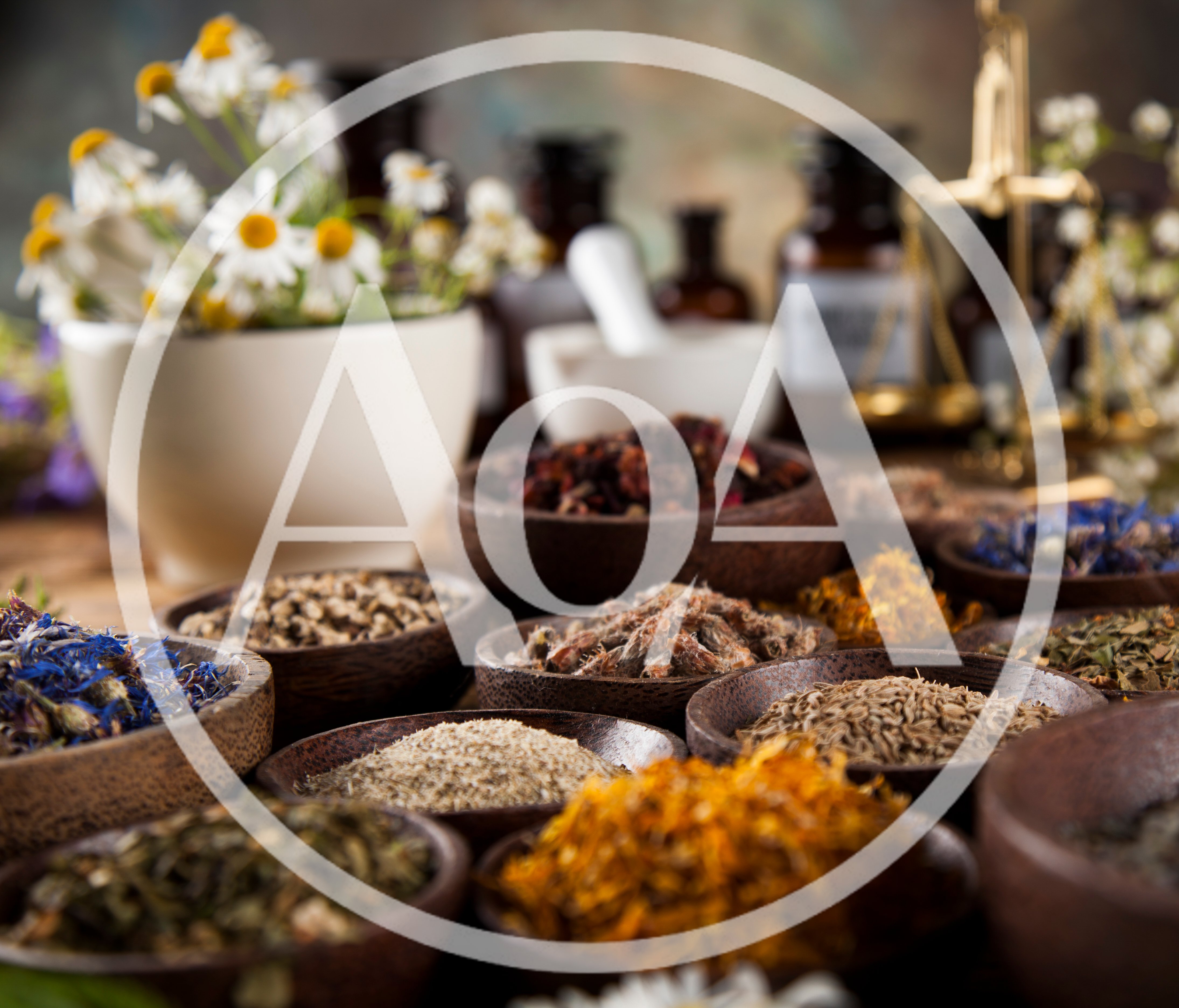 Herbal Medicine Ingredients In Wooden Bowls