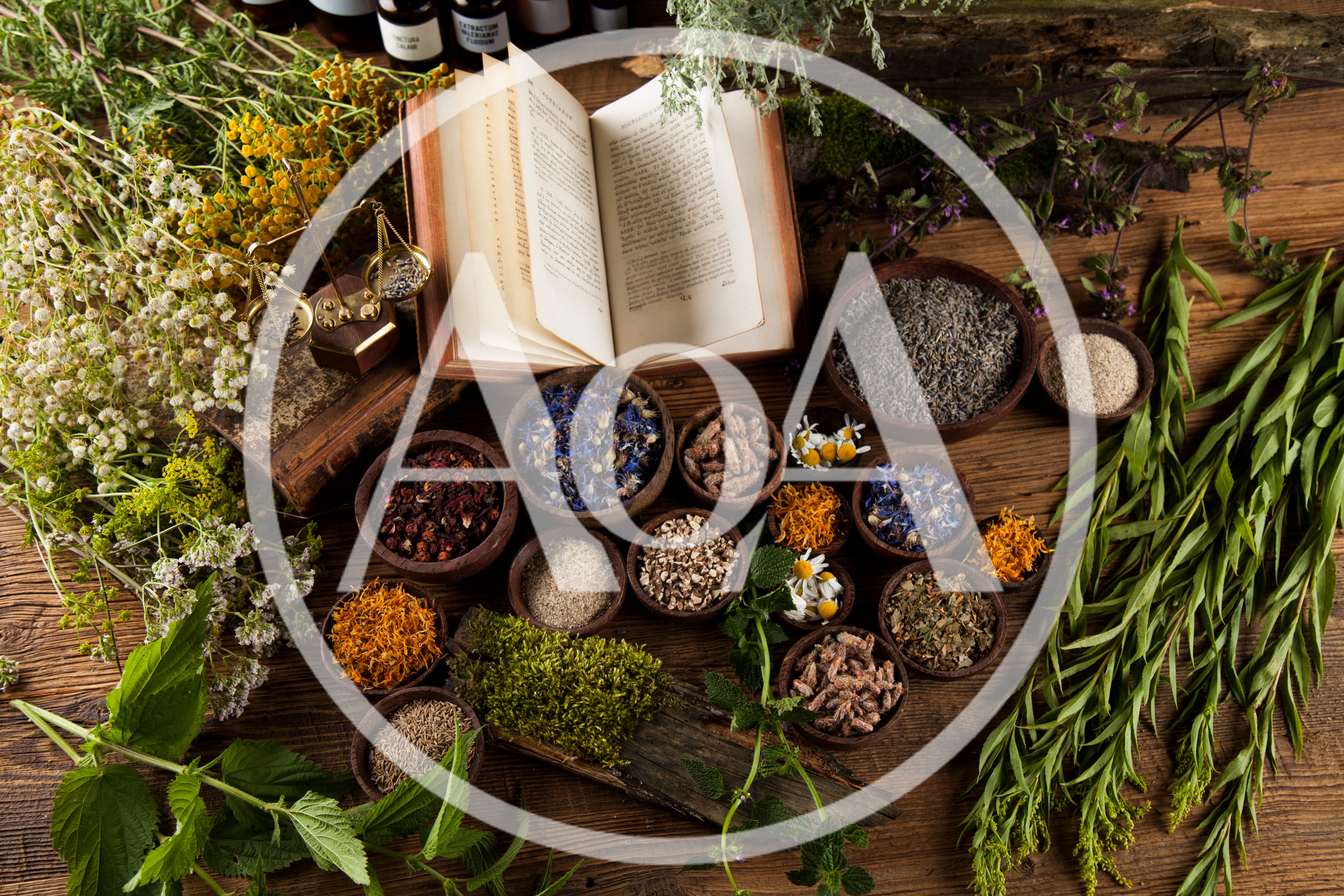 Herbal Medicine Preparation With Dried Herbs And Book