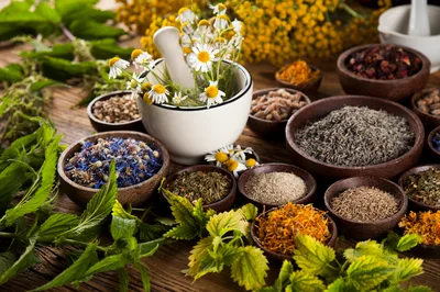 Assorted Dried Herbs And Flowers In Wooden Bowls