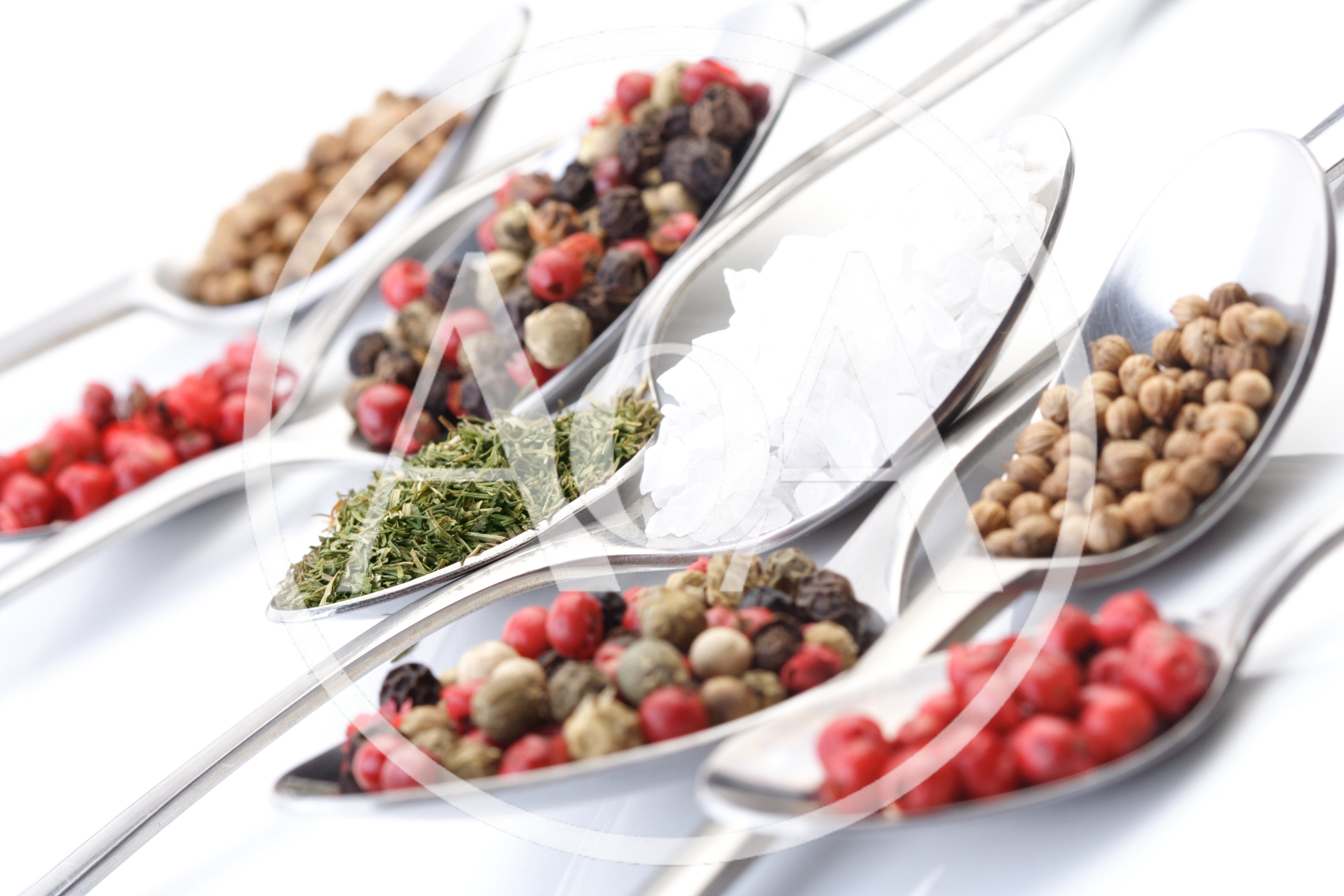 Assorted Spices and Sea Salt on Metal Spoons