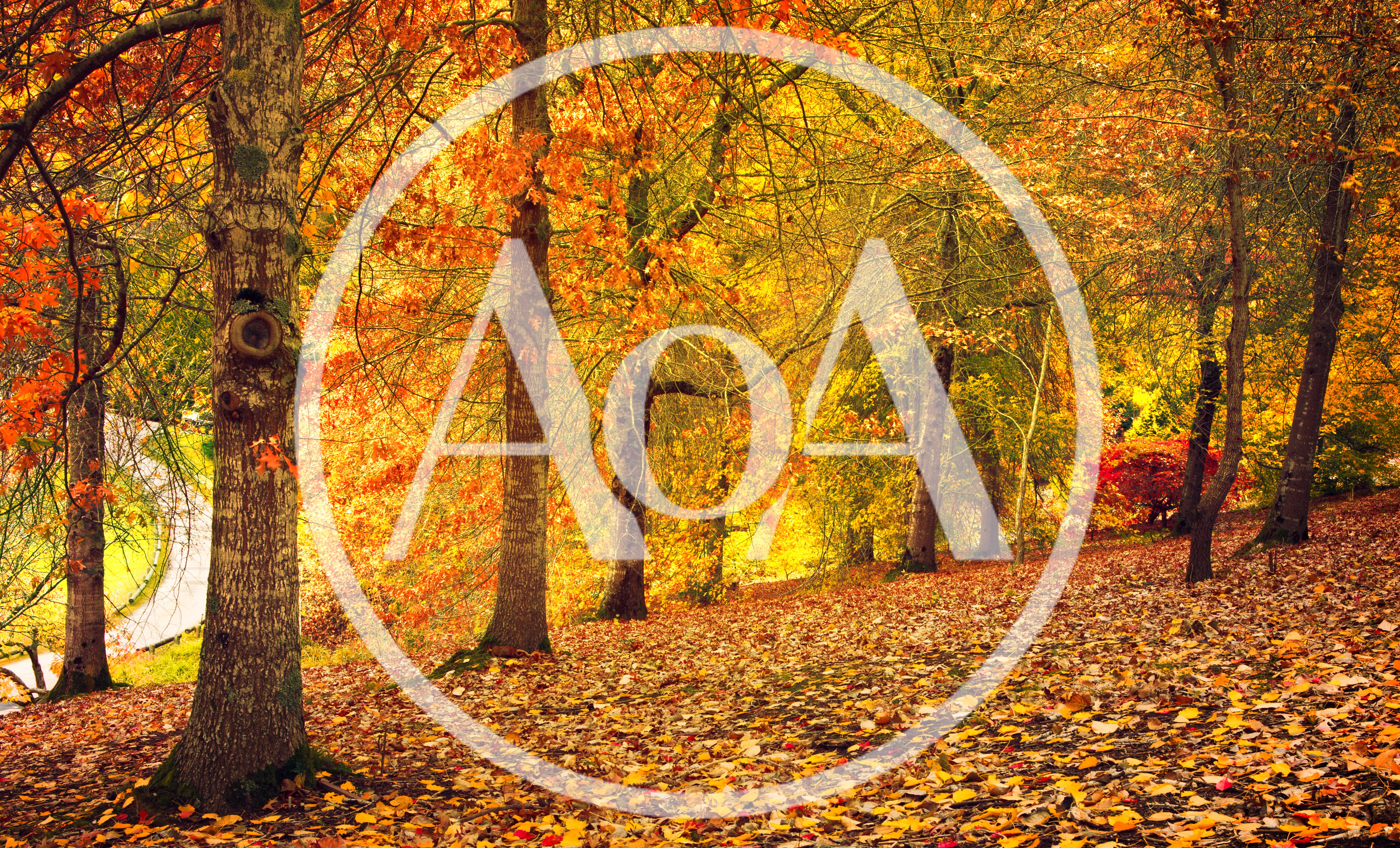 Autumn Forest Landscape With Golden Foliage And Fallen Leaves