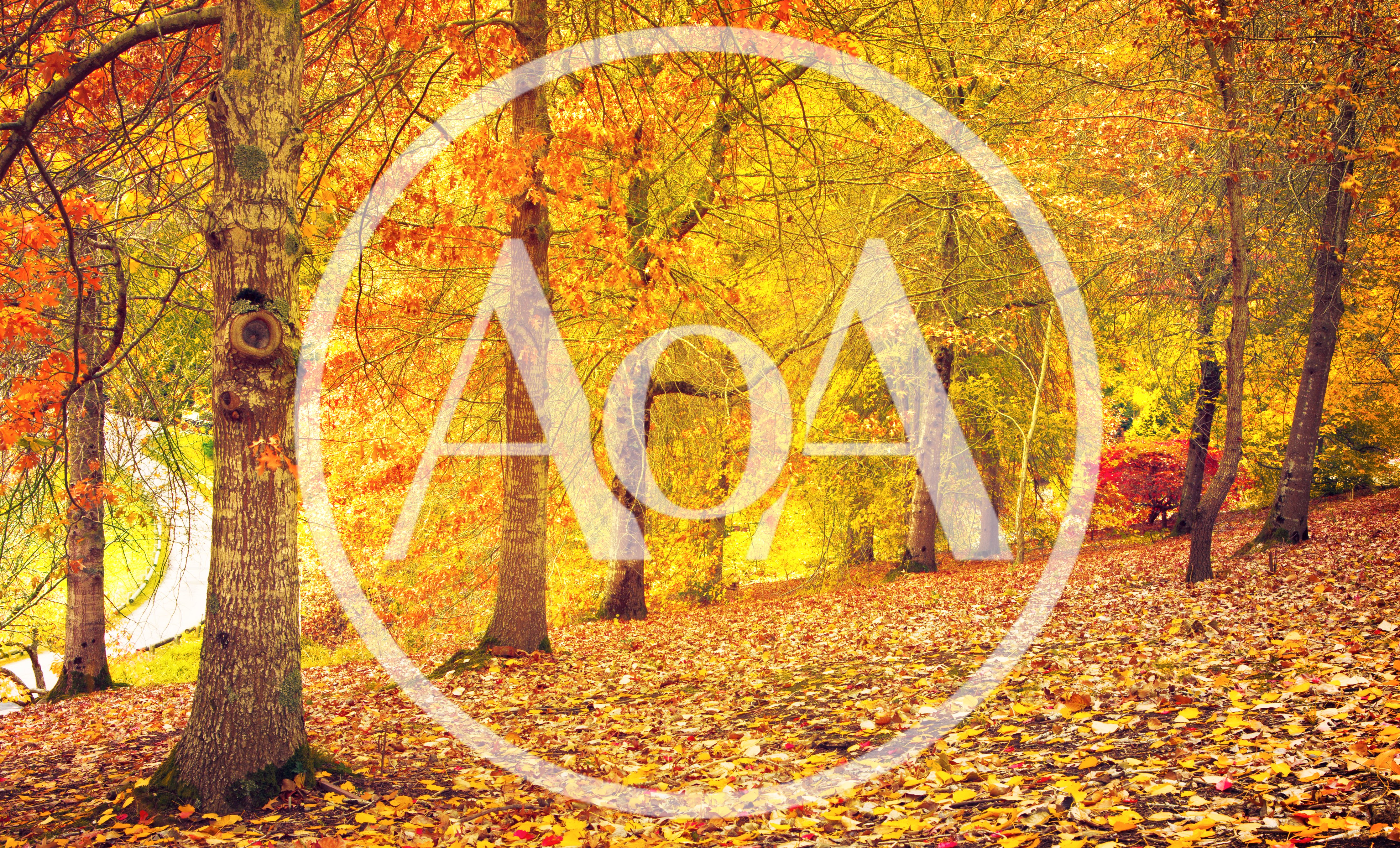 Golden Autumn Forest Path With Fallen Leaves