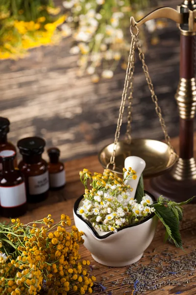 Herbal Medicine Preparation With Mortar And Pestle