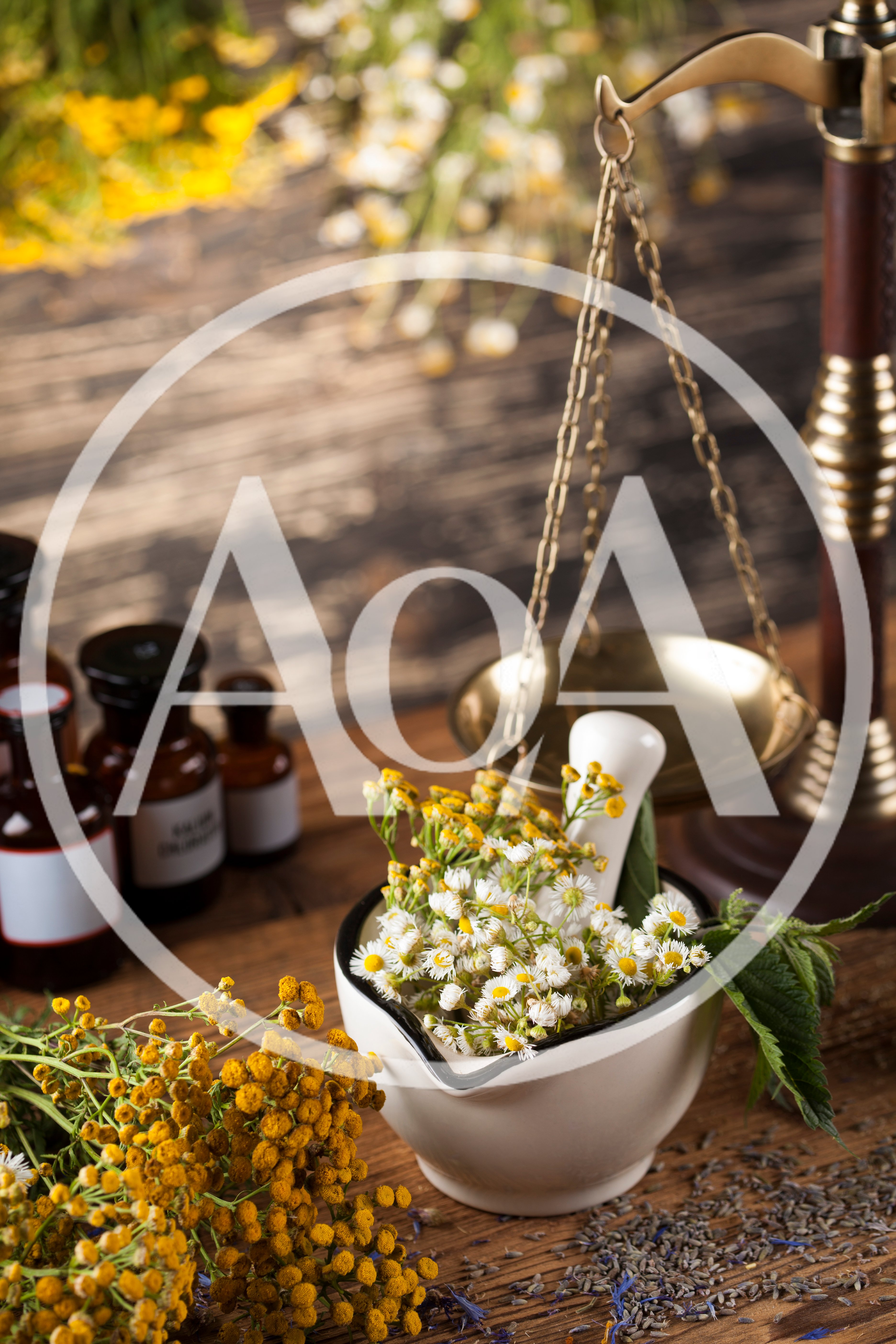 Herbal Medicine Preparation With Mortar And Pestle