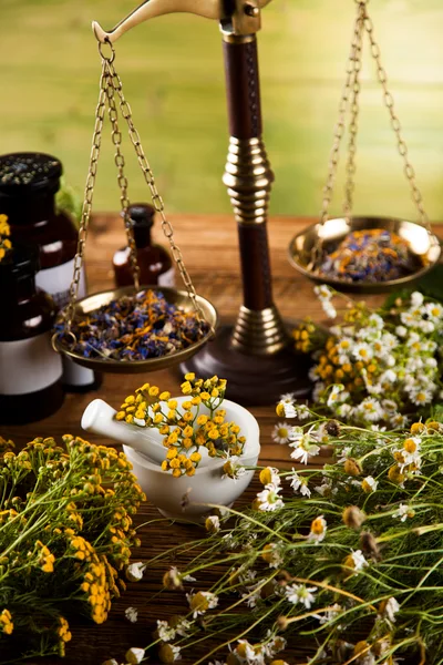 Herbal Medicine Preparation With Scales And Dried Flowers