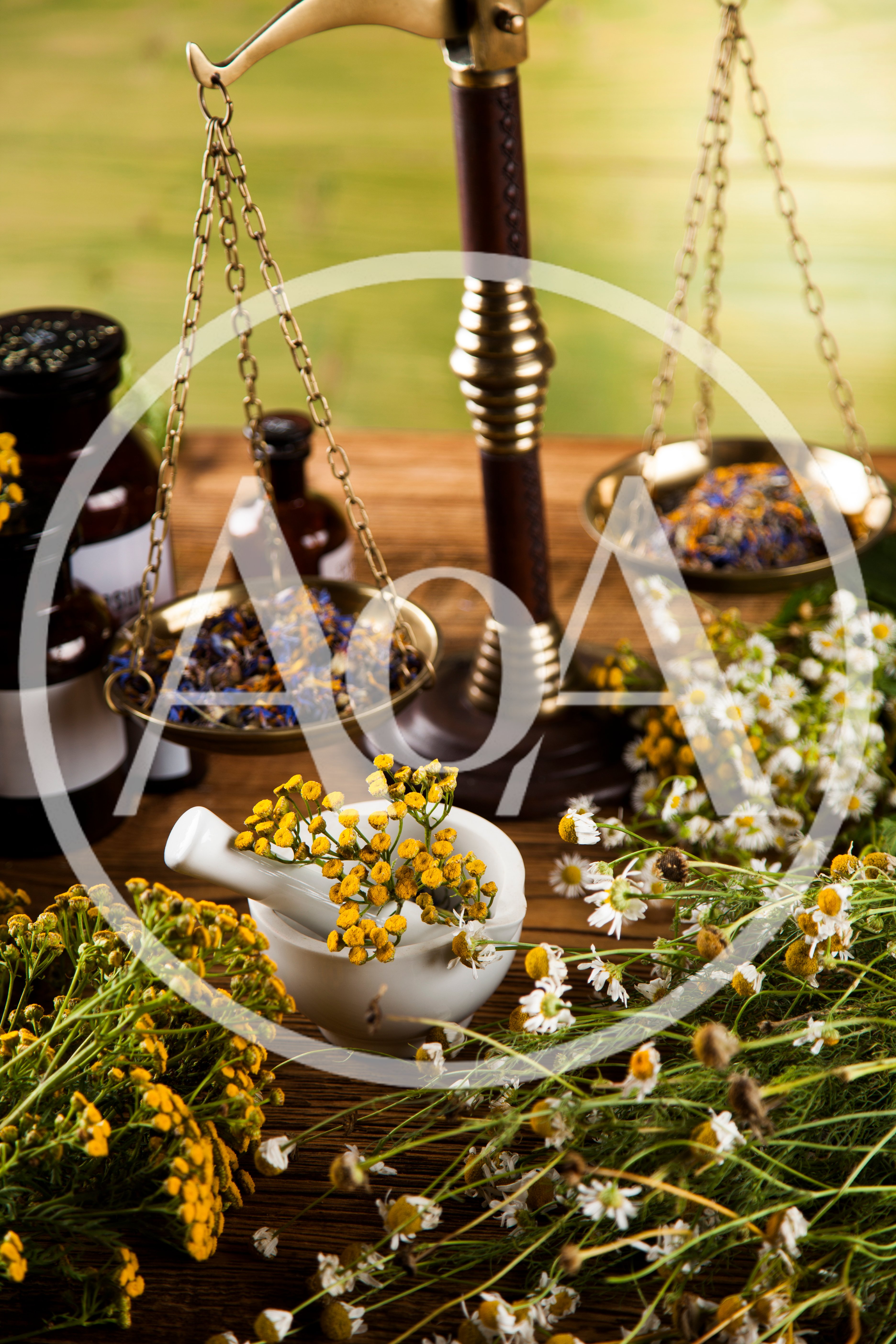 Herbal Medicine Preparation With Scales And Dried Flowers