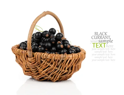 Black Currants In A Woven Basket