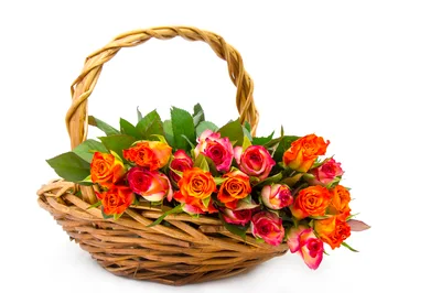 Wicker Basket Filled With Vibrant Orange And Pink Roses
