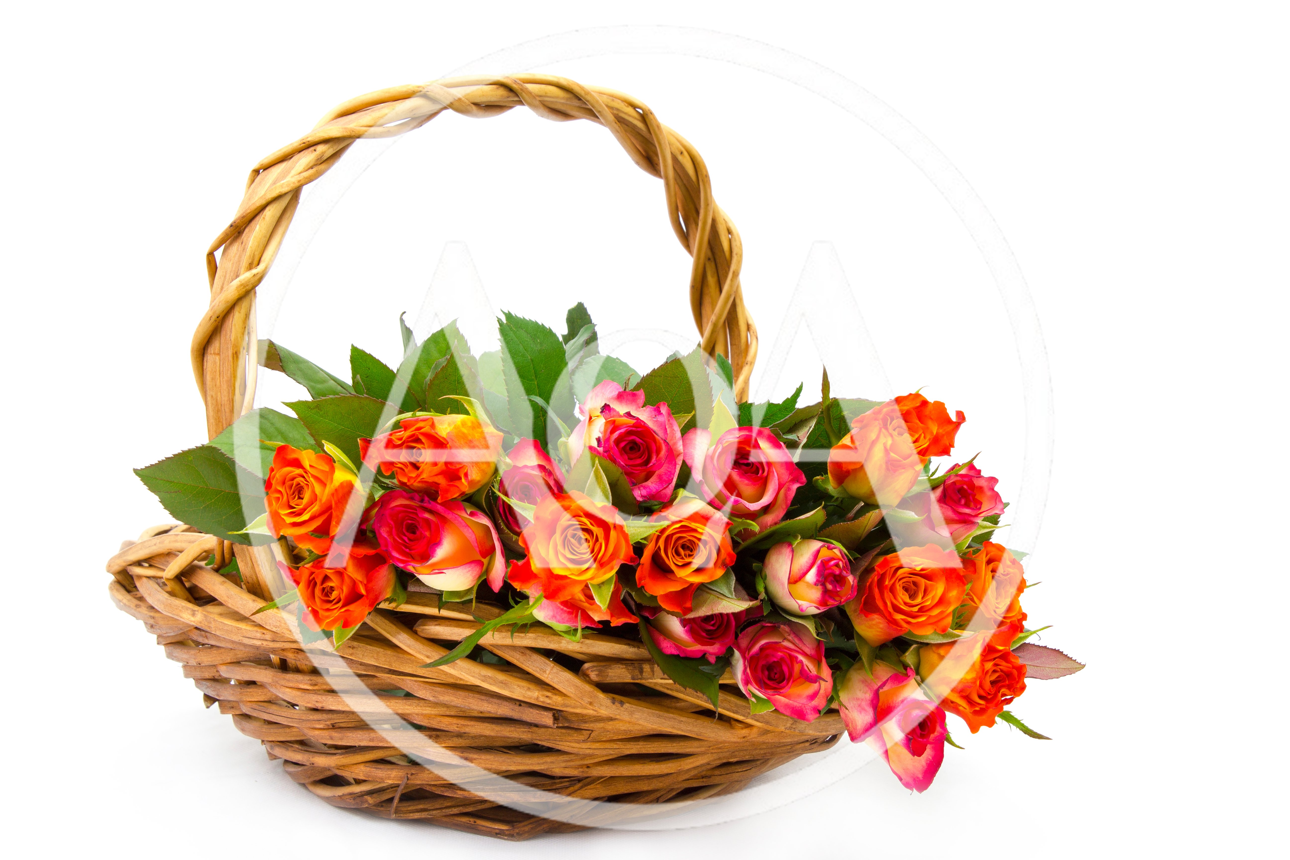 Wicker Basket Filled With Vibrant Orange And Pink Roses