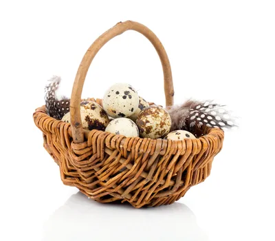 Quail Eggs in a Small Wicker Basket