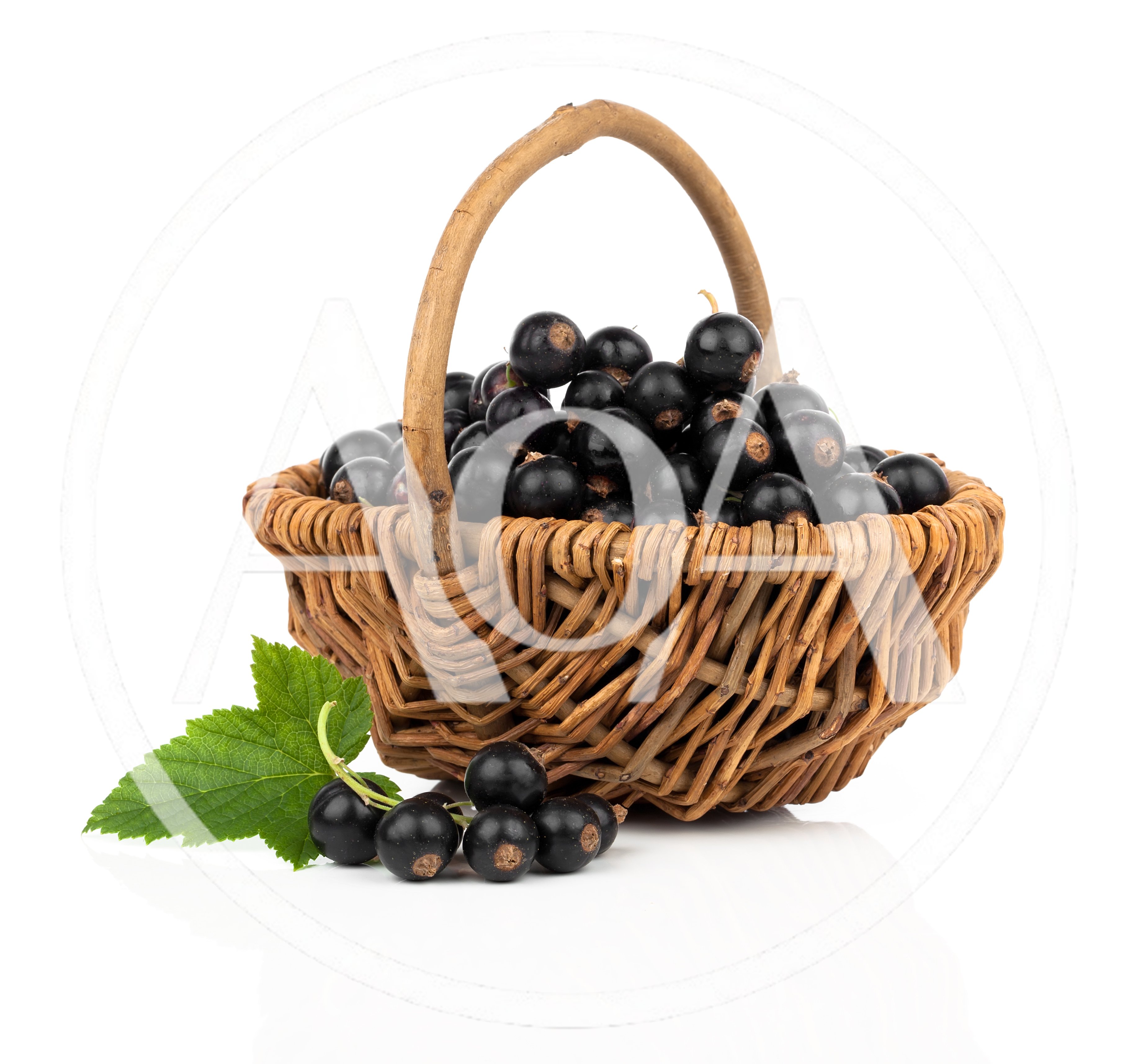 Fresh Blackcurrants In A Wicker Basket