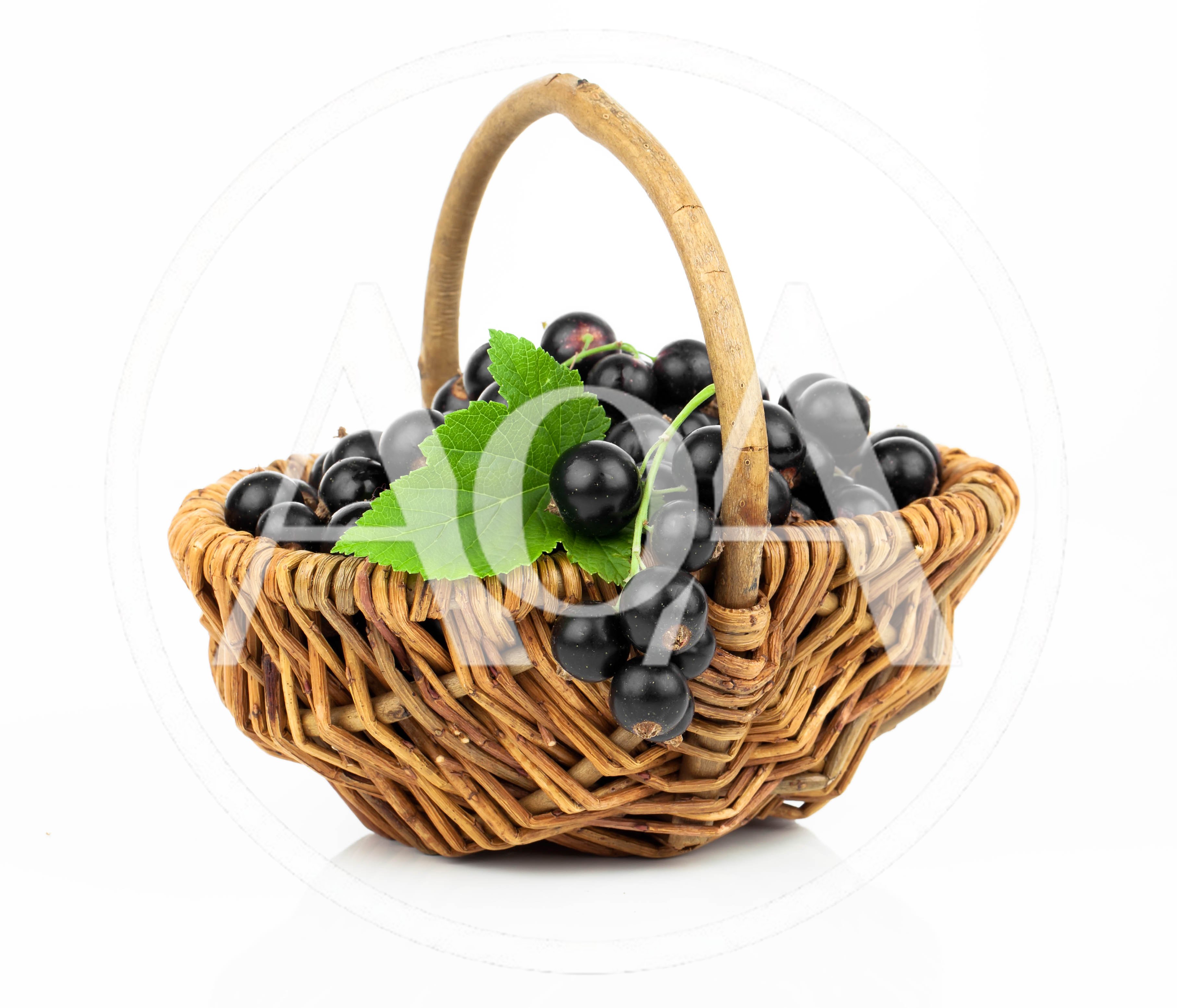 Fresh Blackcurrants In A Woven Wicker Basket
