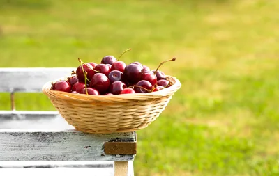 Fresh Red Cherries In A Wicker Basket