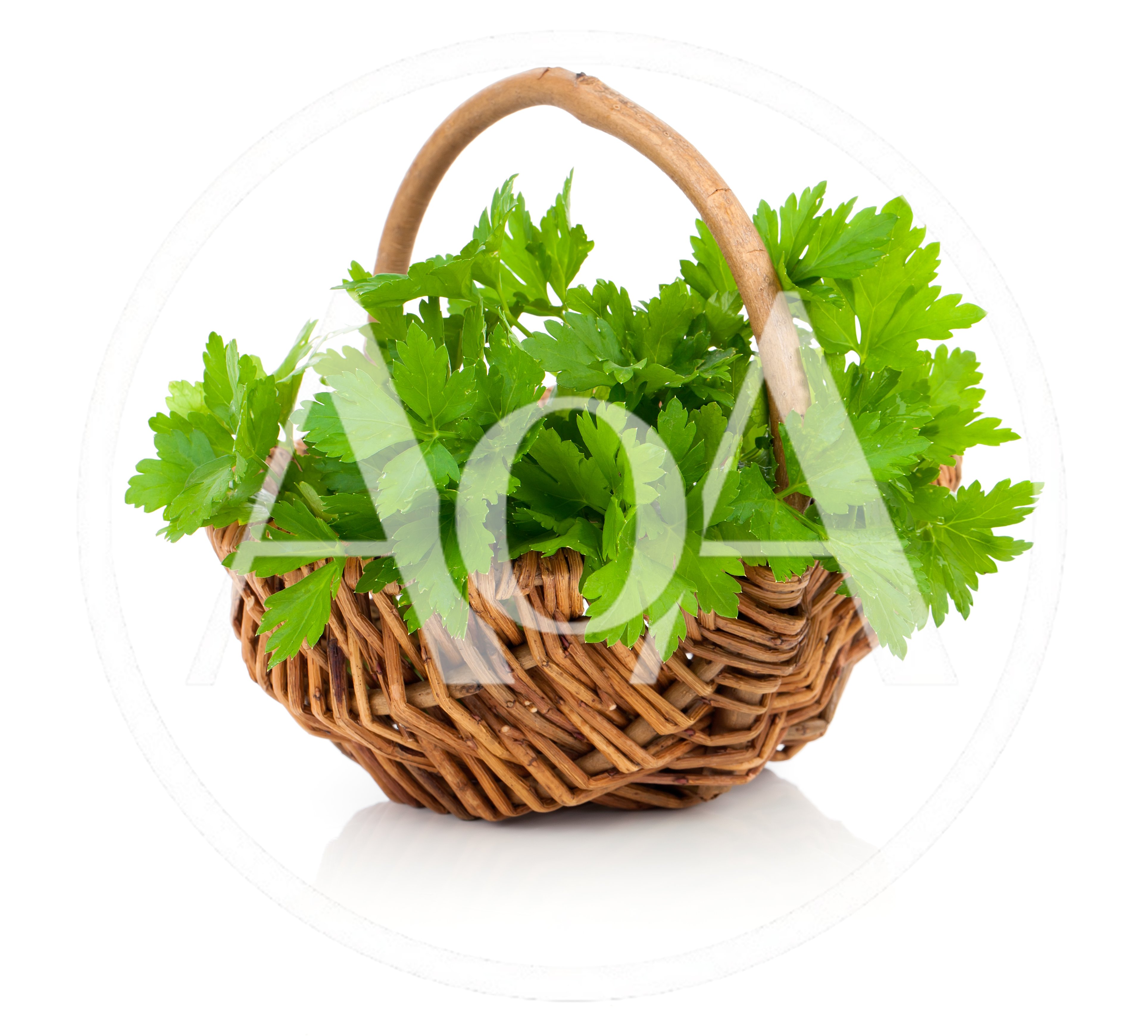 Fresh Green Parsley In A Woven Basket