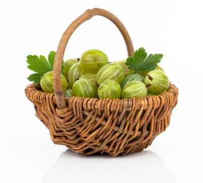 Fresh Green Gooseberries In A Woven Basket