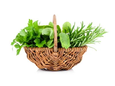 Fresh Culinary Herbs In A Woven Basket