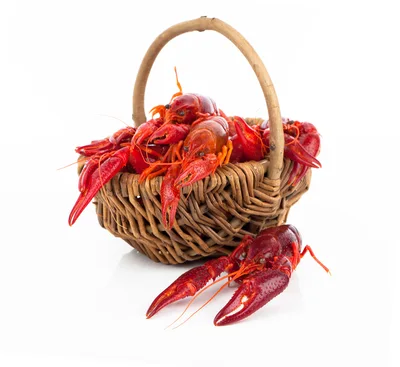 Fresh Boiled Crawfish In A Wicker Basket