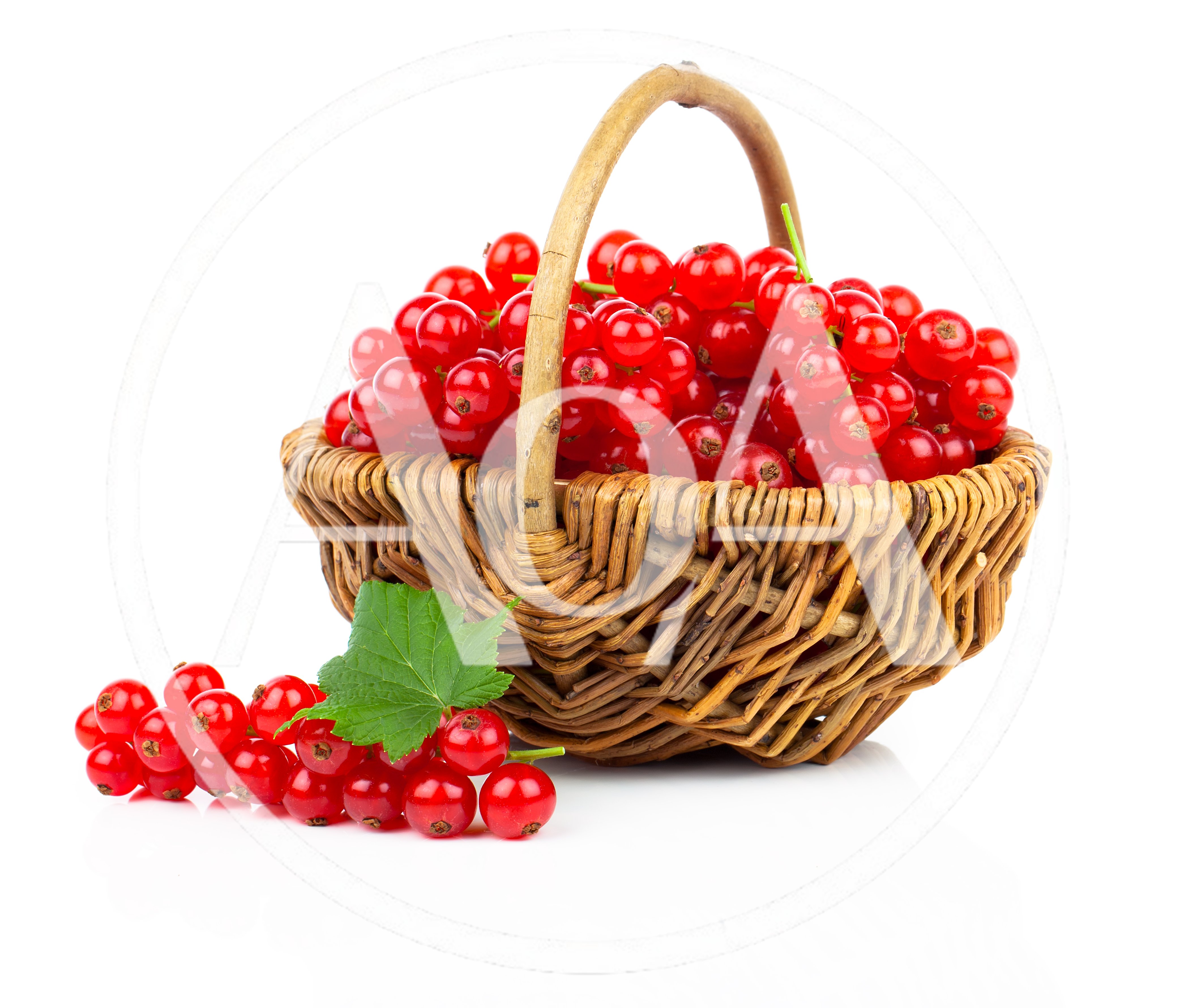 Fresh Red Currants In A Wicker Basket