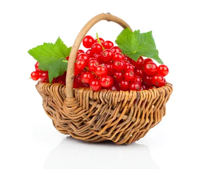 Fresh Red Currants In A Wicker Basket