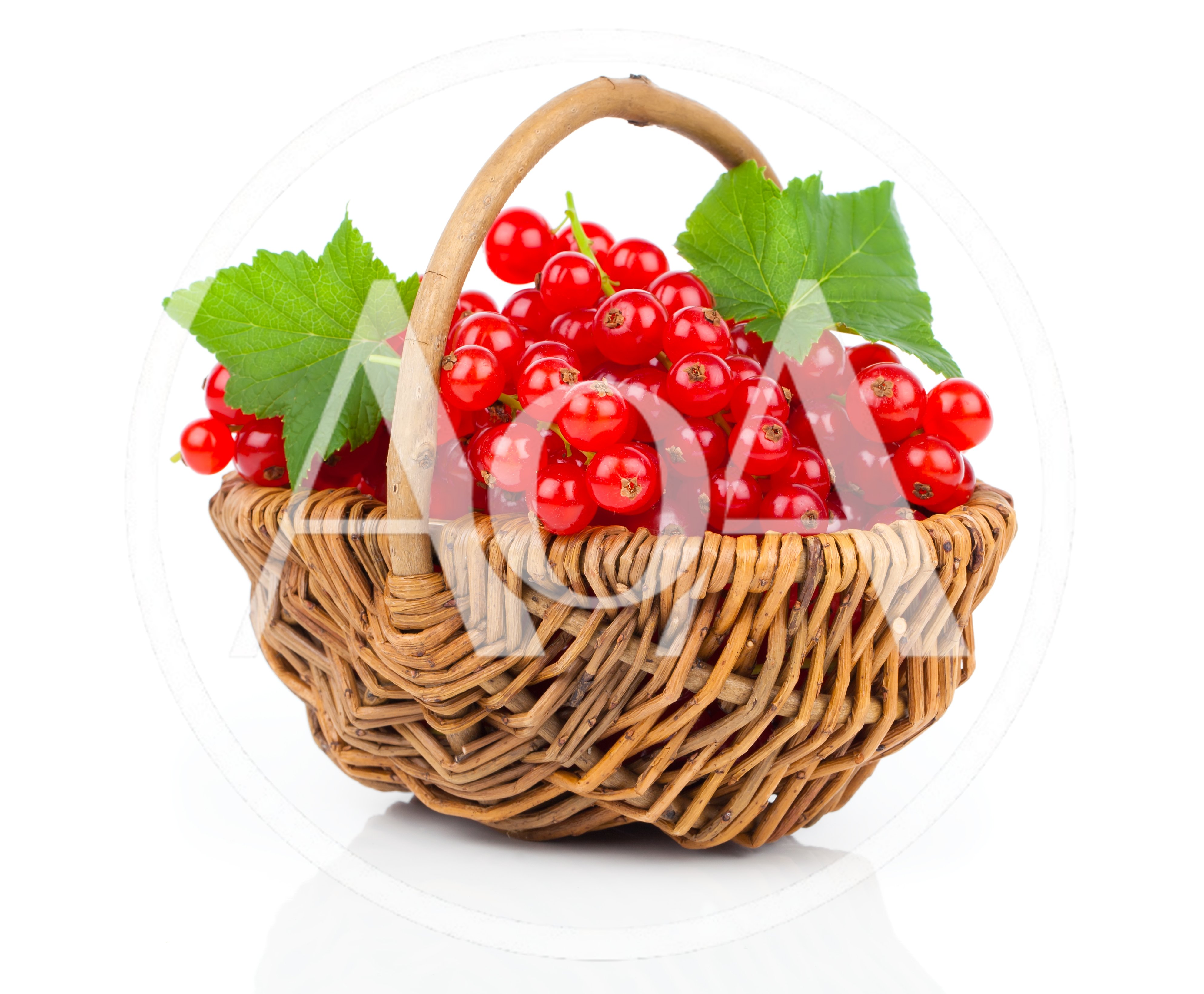Fresh Red Currants In A Wicker Basket