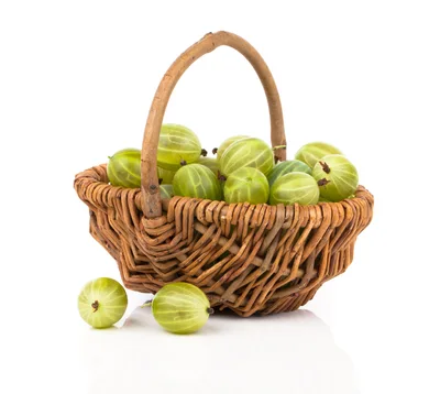 Fresh Green Gooseberries In A Woven Basket