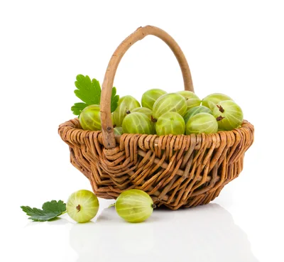Fresh Green Gooseberries In A Wicker Basket