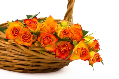 Orange And Yellow Roses In A Wicker Basket