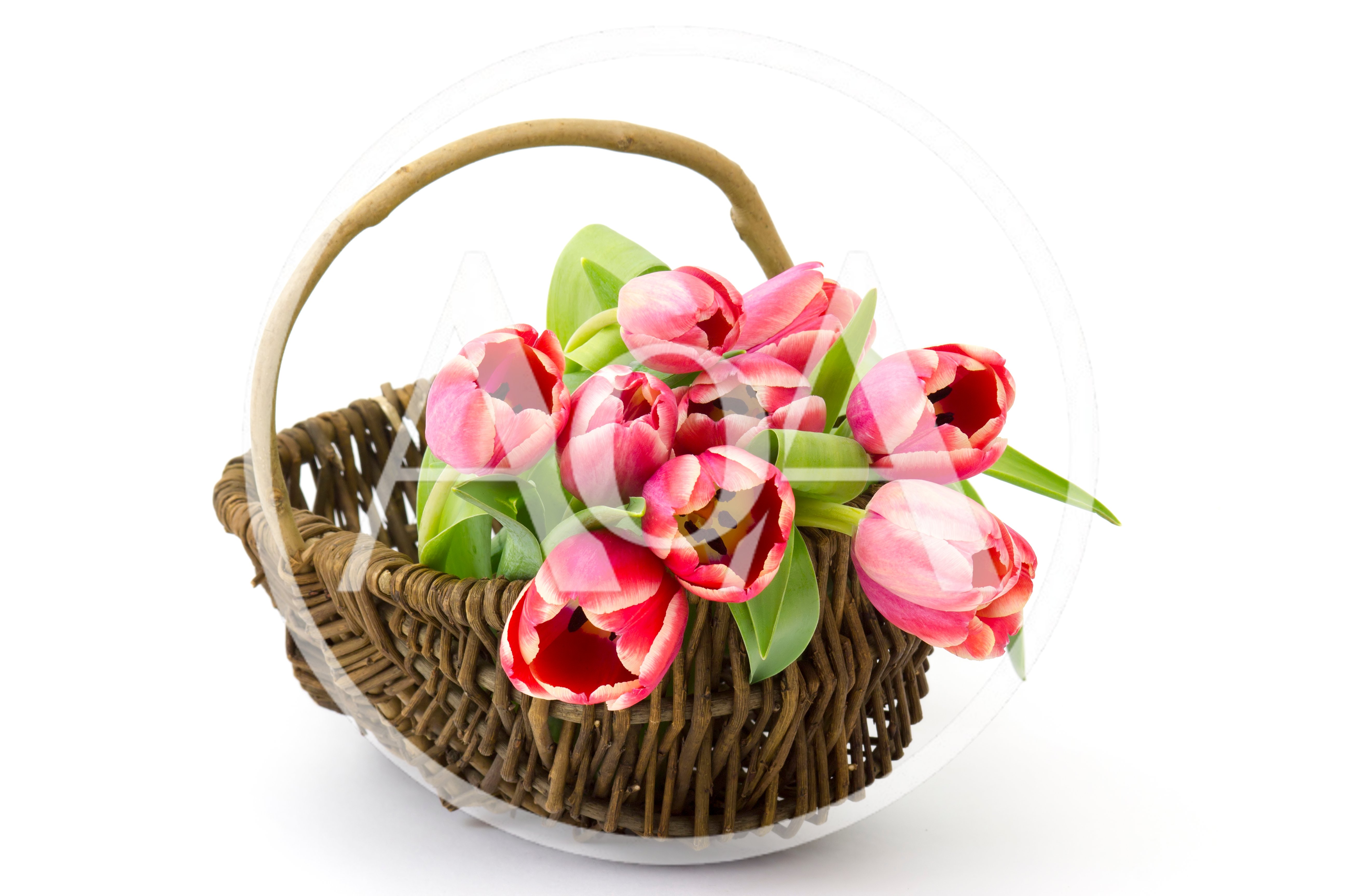 Pink Tulips In A Woven Wicker Basket
