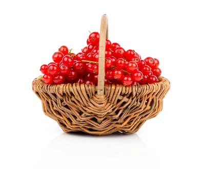 Fresh Red Currants In A Woven Basket