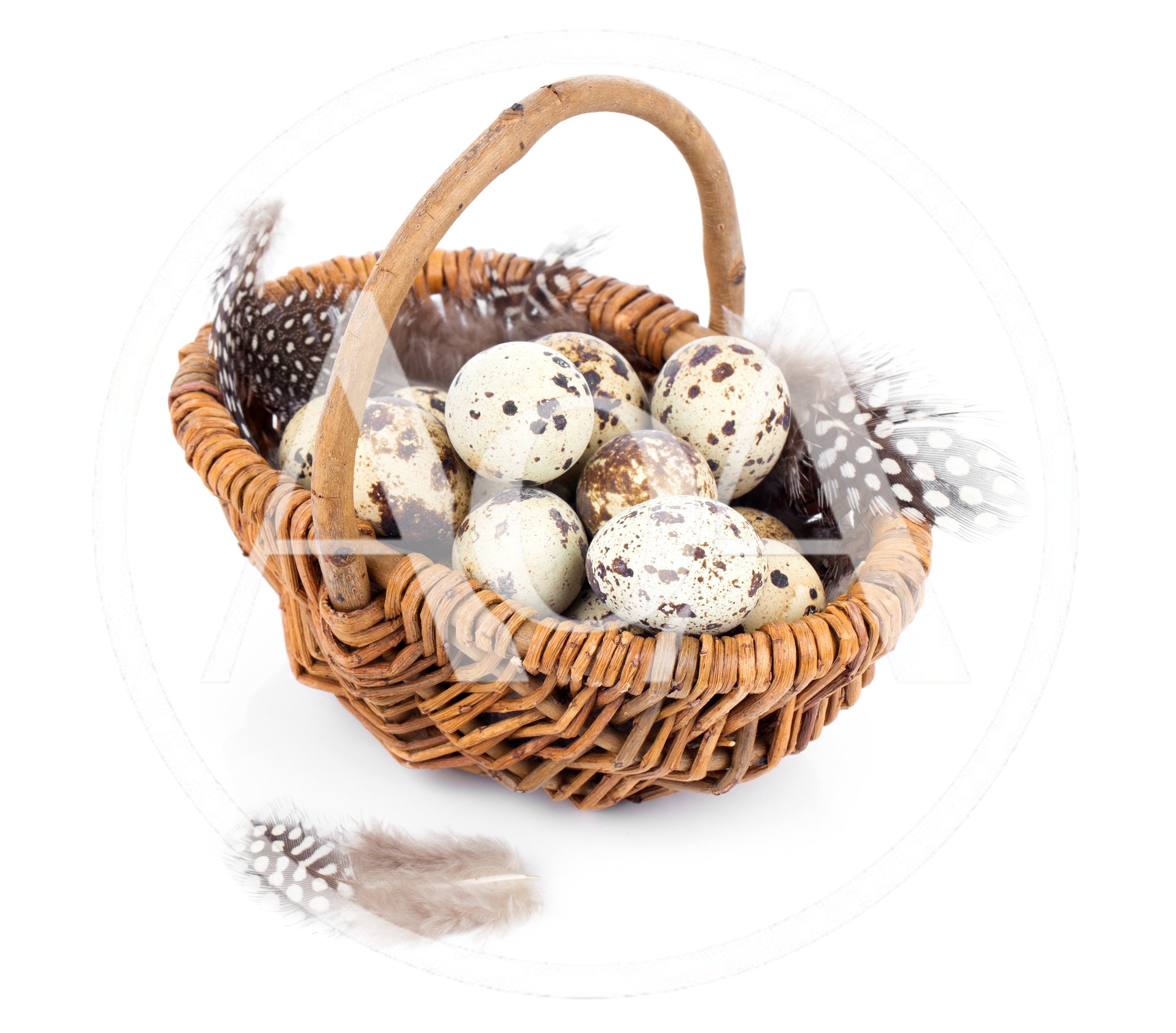 Quail Eggs in a Woven Basket with Feathers