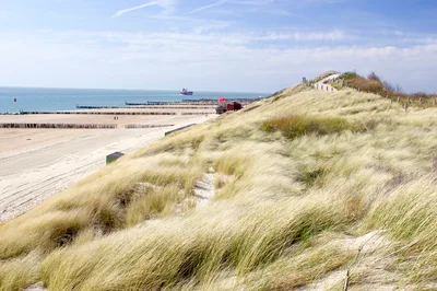 Coastal Sand Dunes With Beach And North Sea View