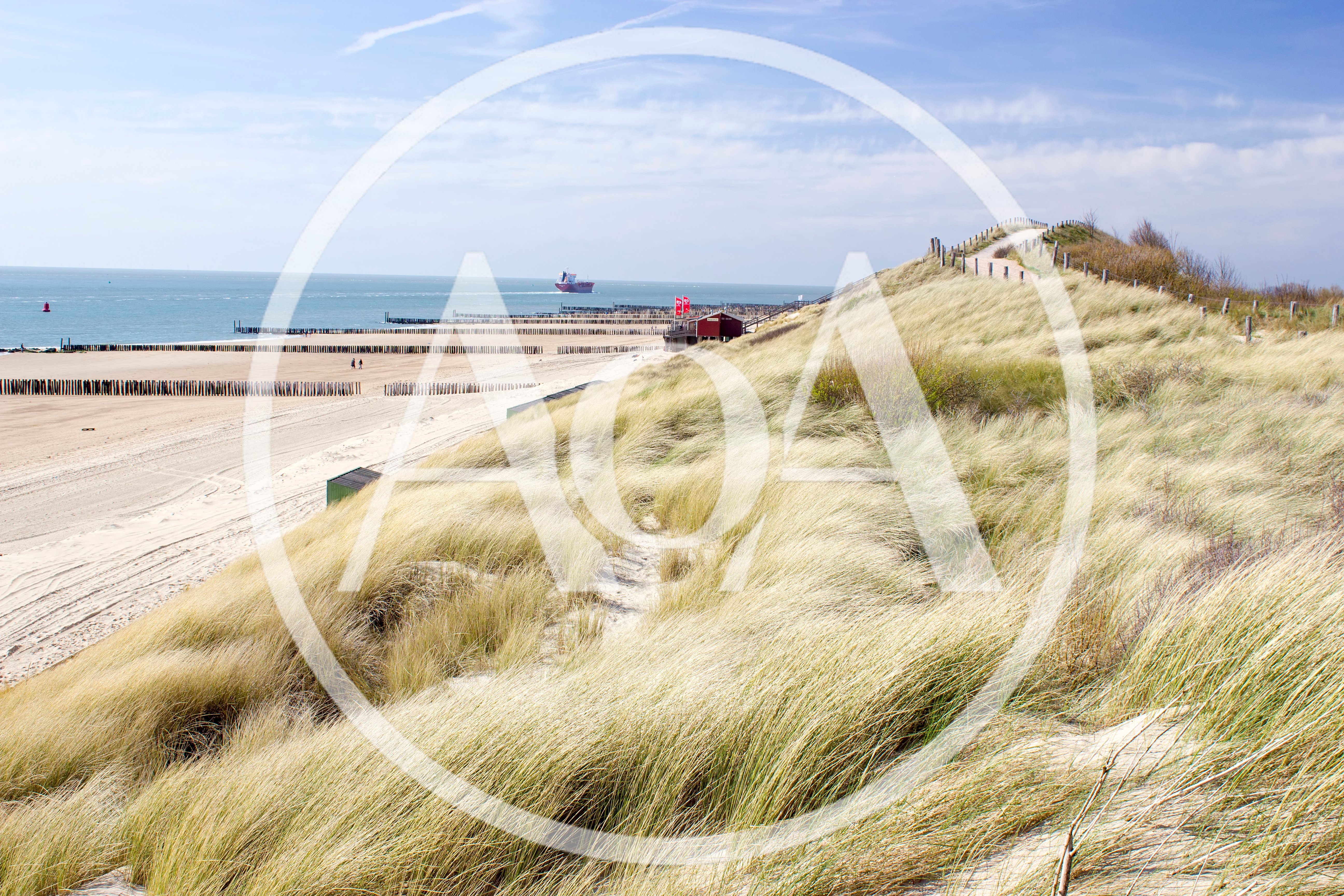 Coastal Sand Dunes With Beach And North Sea View