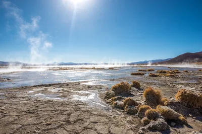 Geothermal Steam Rising Over El Tatio Geyser Field