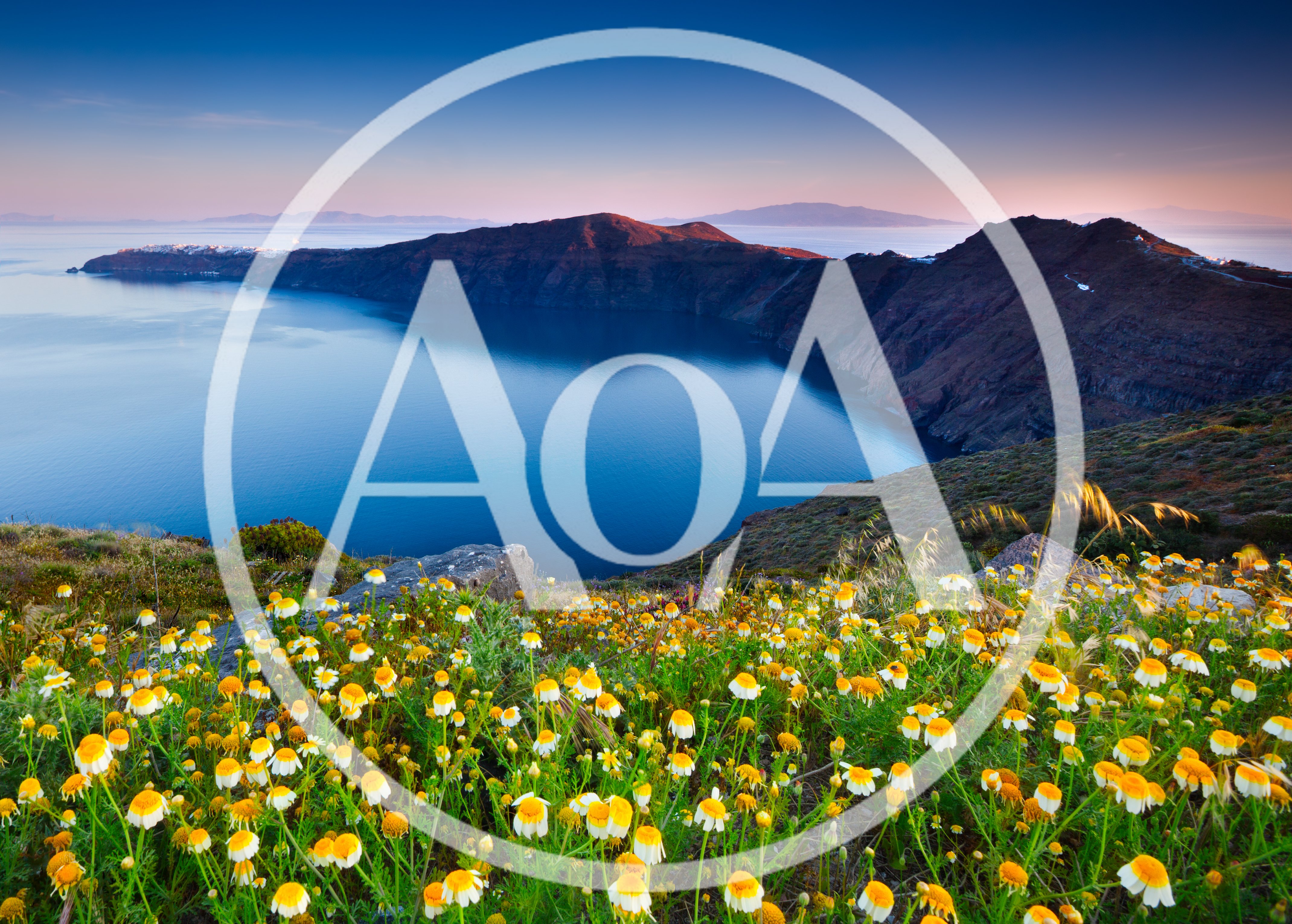 Wildflowers Overlooking The Santorini Caldera At Sunset