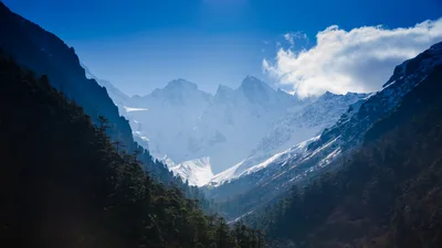 Snow Capped Himalayan Peaks In Yumthang Valley