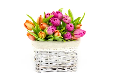 Bouquet Of Colorful Tulips In A Wicker Basket