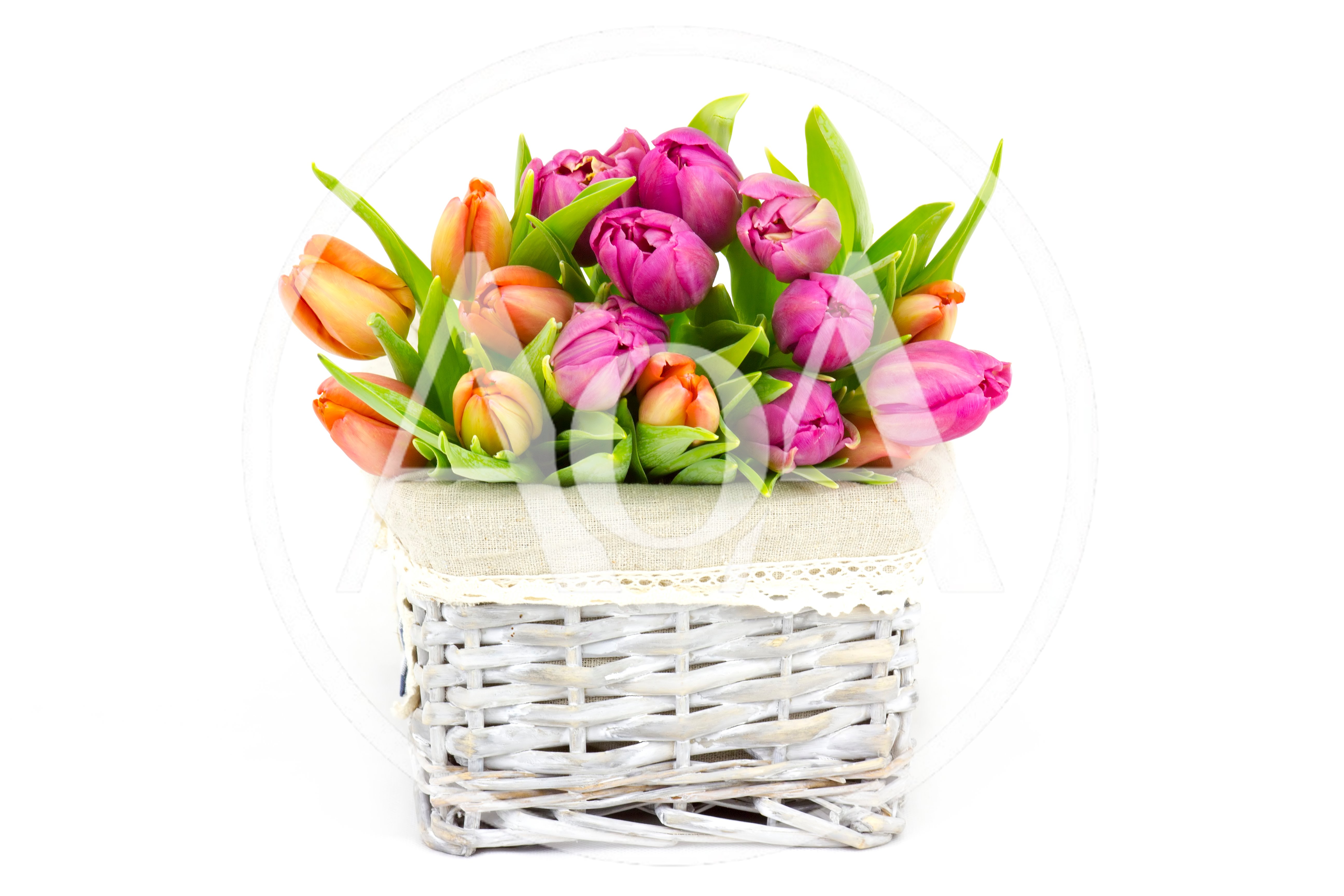 Bouquet Of Colorful Tulips In A Wicker Basket