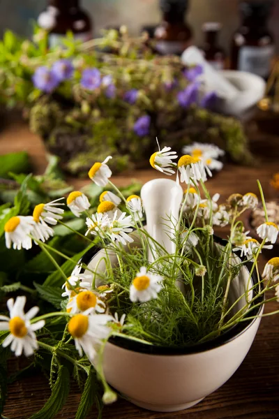 Chamomile Flowers In A Mortar For Herbal Medicine