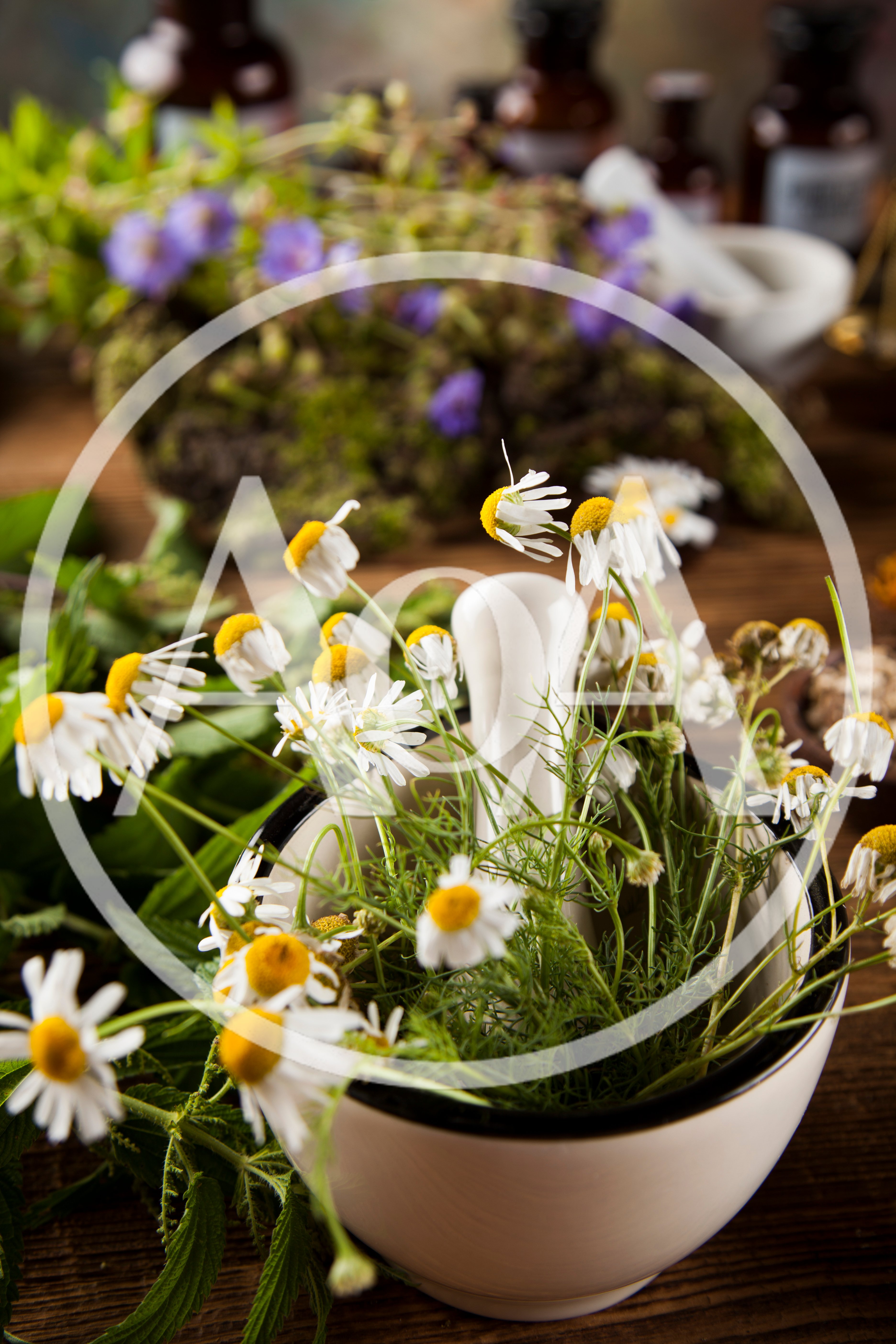 Chamomile Flowers In A Mortar For Herbal Medicine