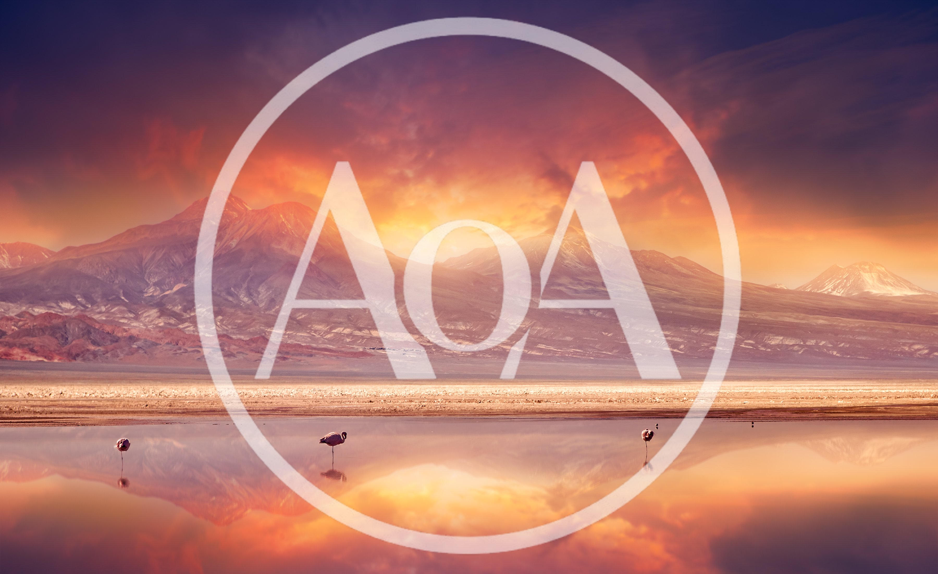 Flamingos Standing In A Salt Lake At Sunset