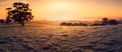 Golden Sunrise Over A Rolling Rural Landscape