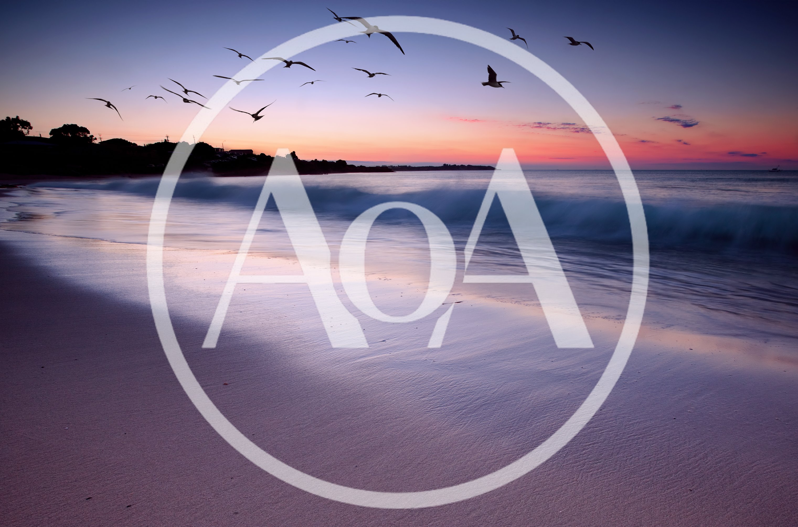 Flock Of Seagulls Flying Over A Serene Beach Sunset