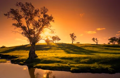 Golden Sunset Over Rolling Green Hills And River