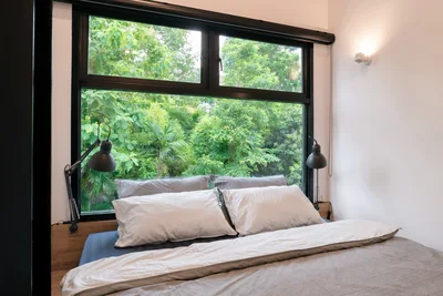 Modern Bedroom With Large Window Overlooking Lush Greenery