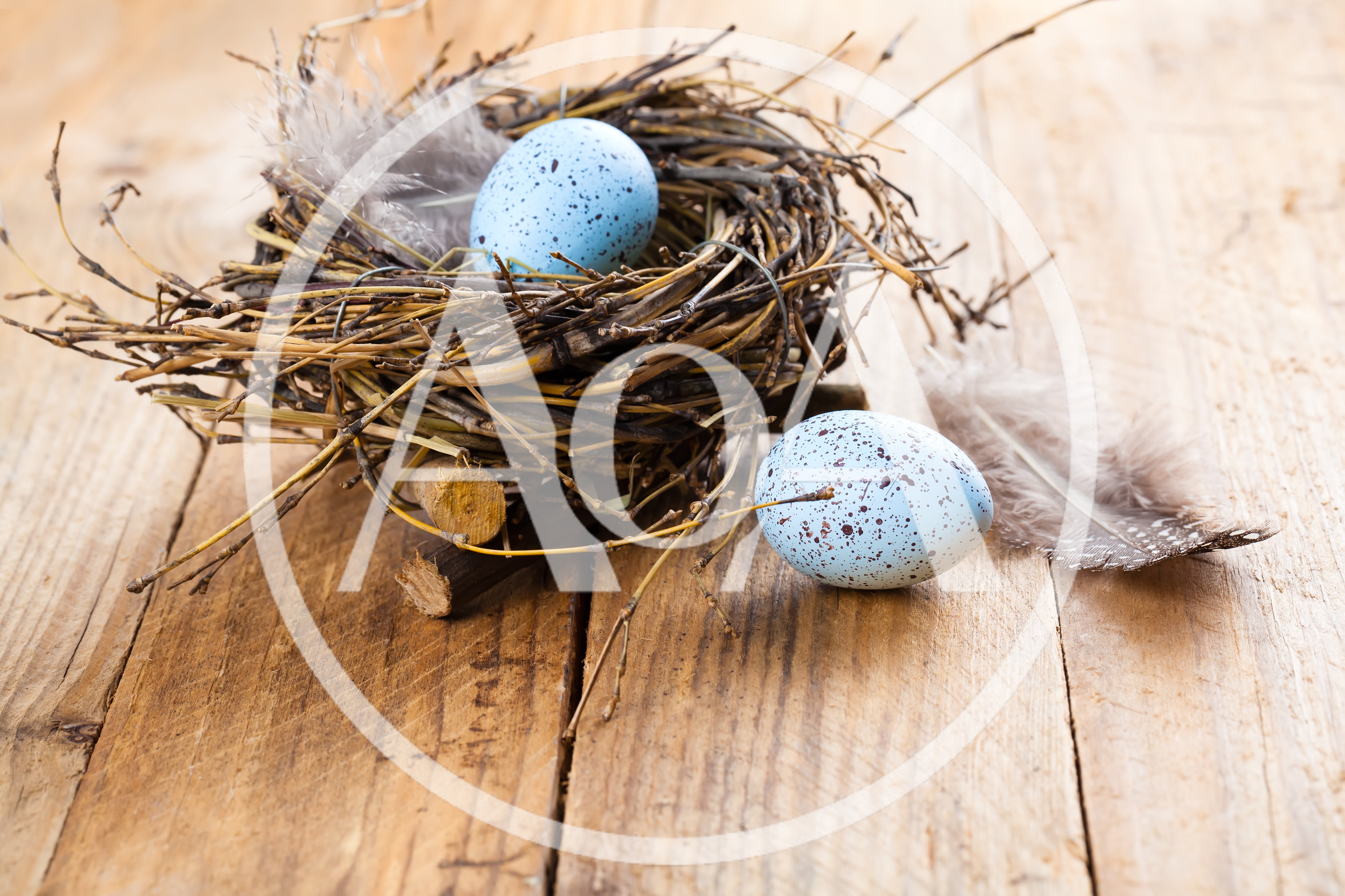 Blue Speckled Easter Eggs in a Twig Nest