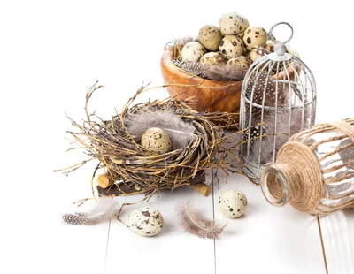 Quail Eggs in Nest and Wooden Bowl