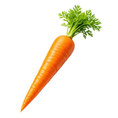 Fresh Whole Carrot With Green Tops Isolated