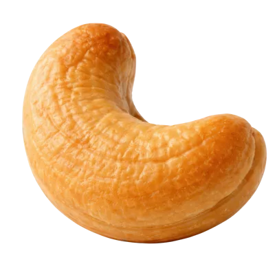 Single Roasted Cashew Nut Isolated On White Background